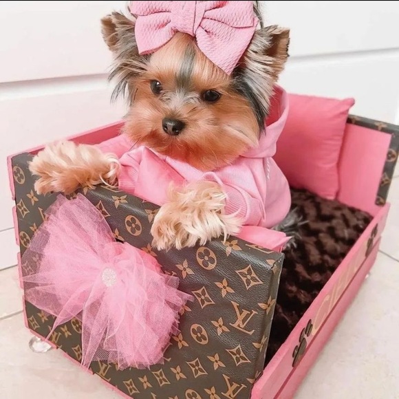 Always have fun with fashion. Dress to entertain yourself.” - Betsey Johnson - Picture 6 of 10